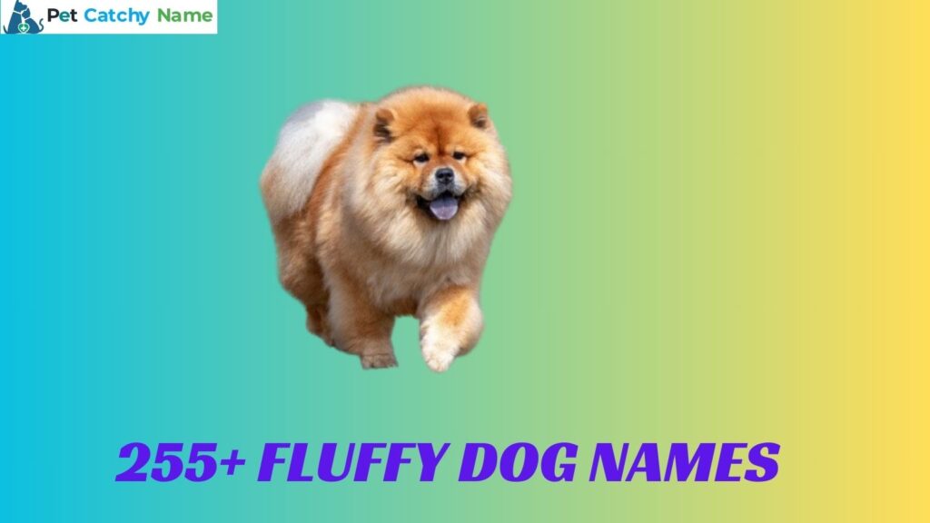 Fluffy Dog Names