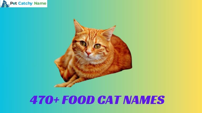 Food Cat Names