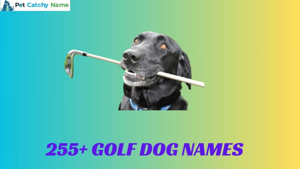 Golf Dog Names