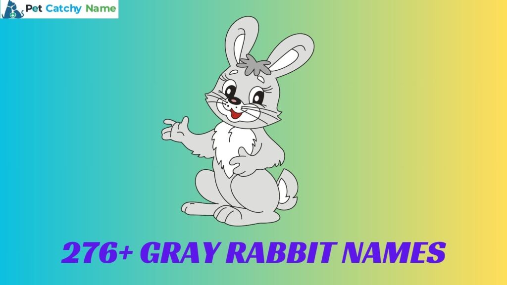 Gray Rabbit Names