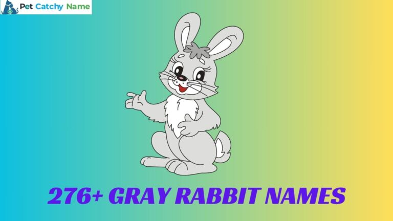 Gray Rabbit Names