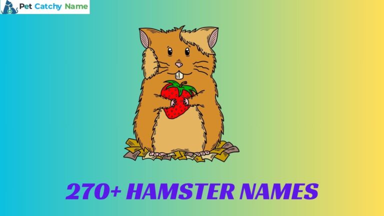 Hamster Names