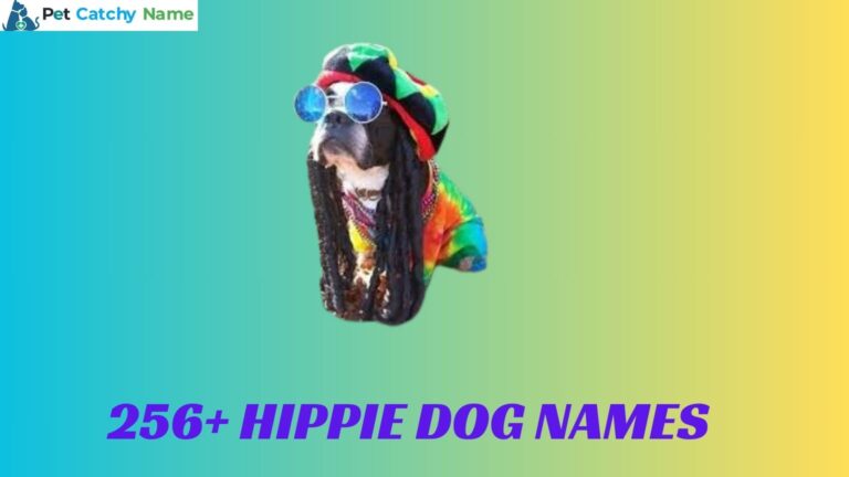 Hippie Dog Names