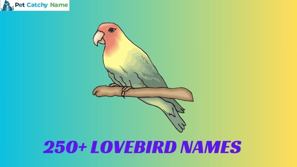 Lovebird Names