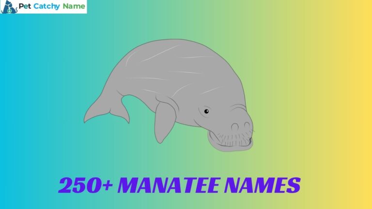 Manatee Names