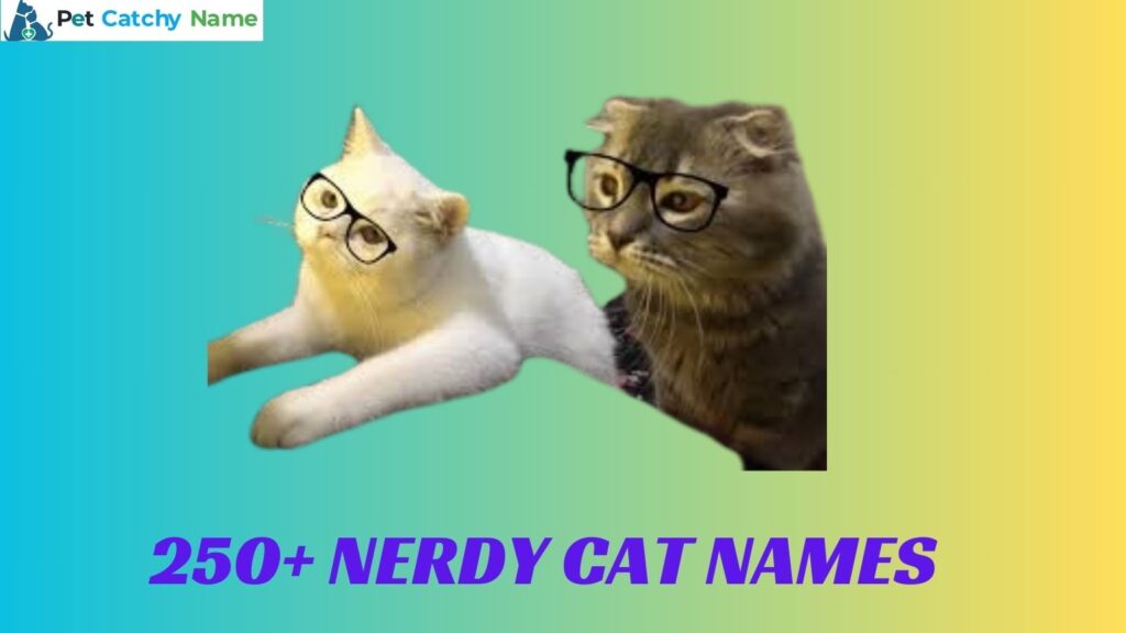 Nerdy Cat Names