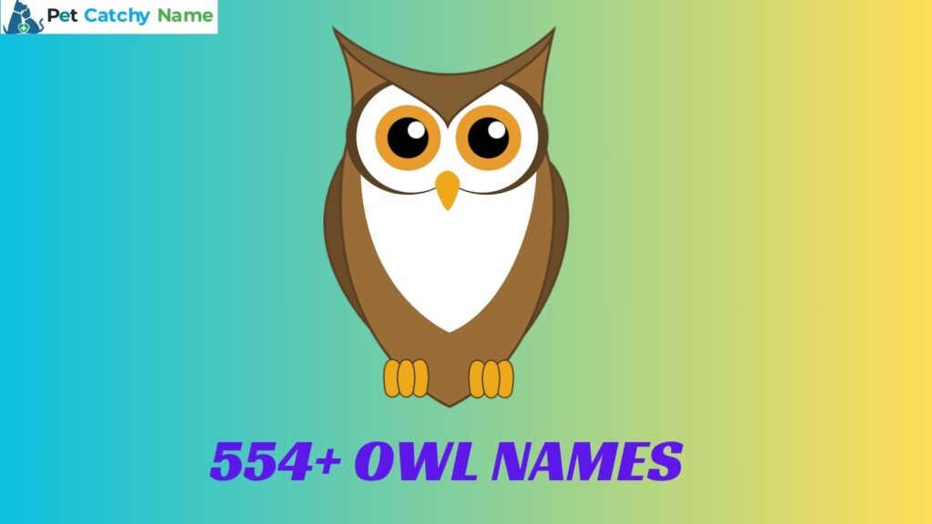 Owl Names