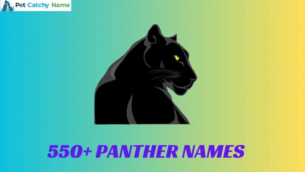 Panther Names