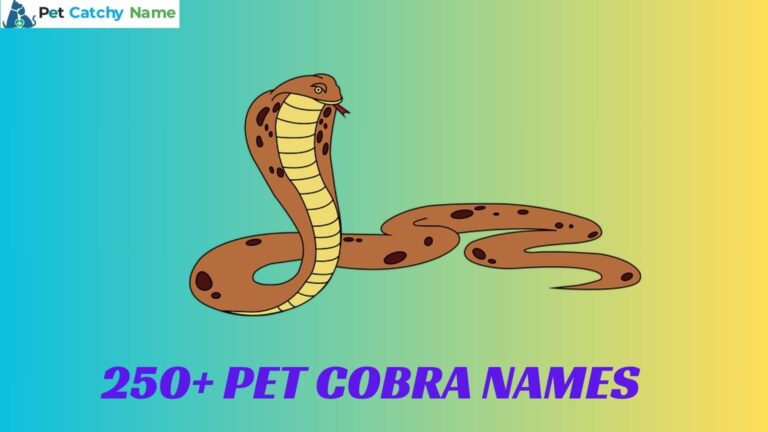 Pet Cobra Names