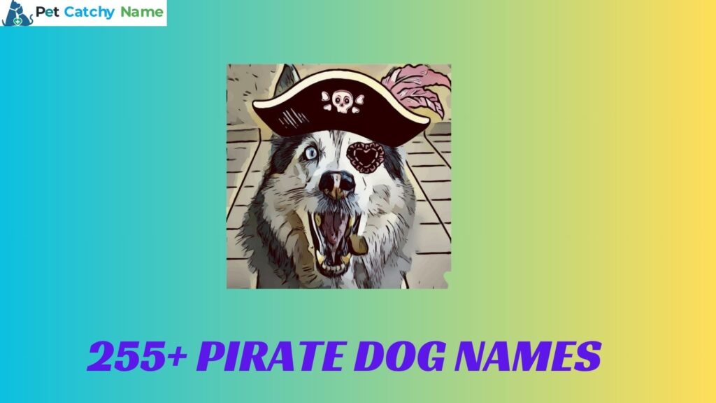 Pirate Dog Names