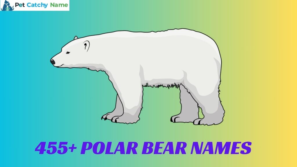 Polar Bear Names