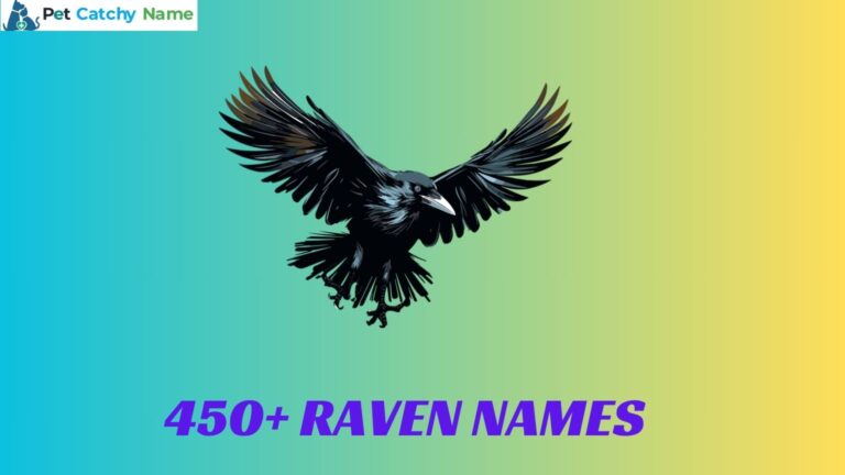 Raven Names