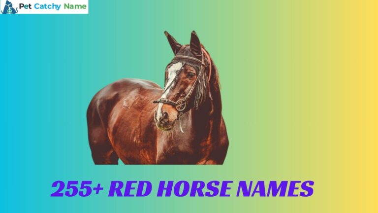 Red Horse Names