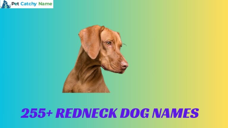 Redneck Dog Names