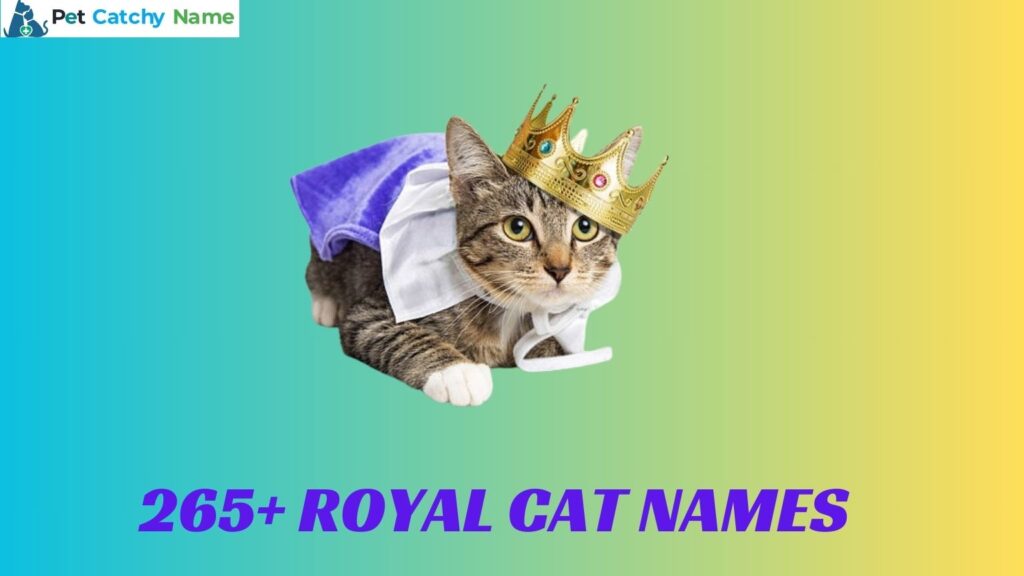 Royal Cat Names