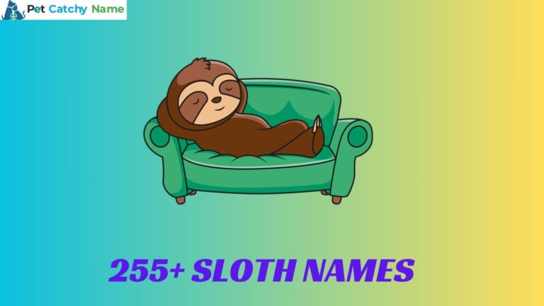 Sloth Names