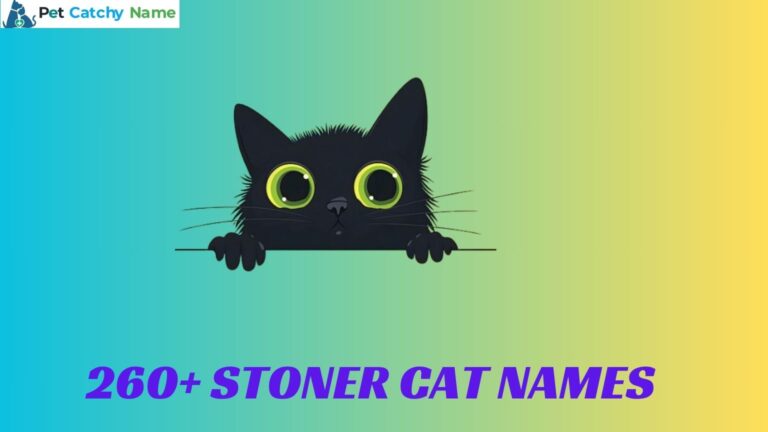 Stoner Cat Names