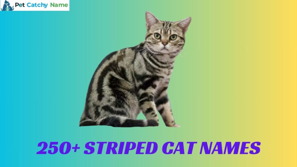 Striped Cat Names