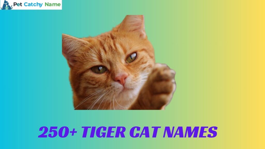 Tiger Cat Names