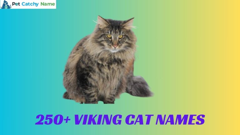 Viking Cat Names