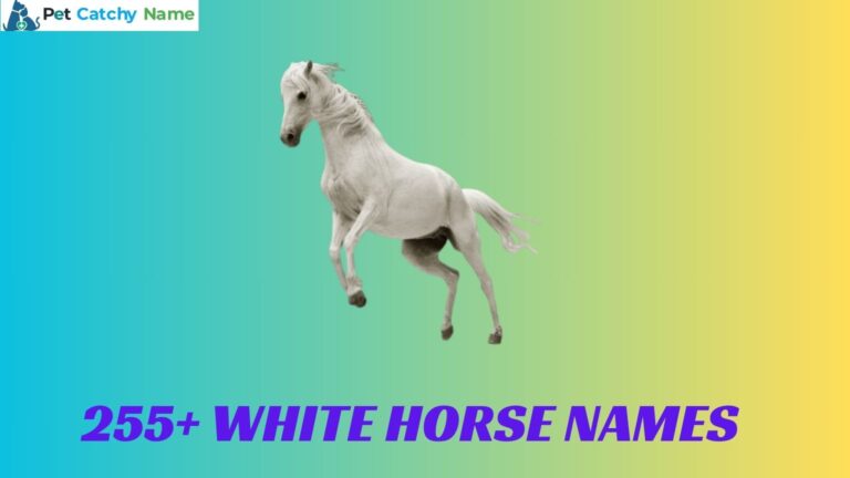 White Horse Names