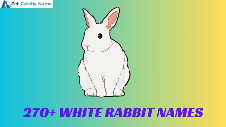 White Rabbit Names