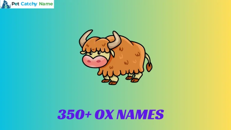 Ox Names